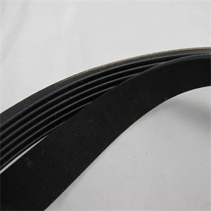 1184 6PJE bordázott ékszíj Electrolux mosógépbe