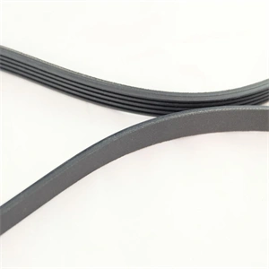 1230 J5 EL Bordásszíj, fekete (MEGADYNE) ELIN mosógép / RENDELÉSRE