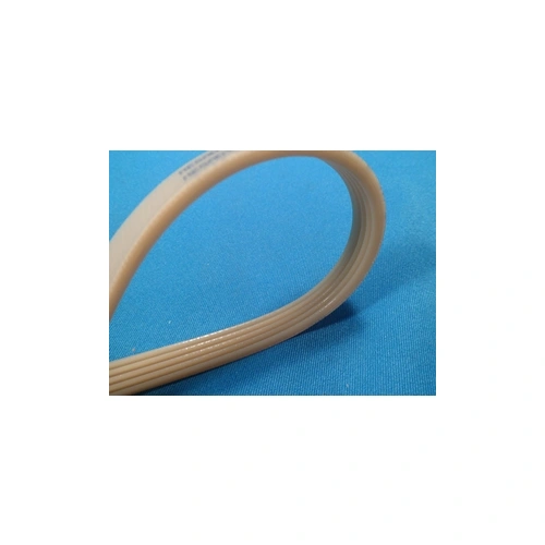 1301 J5 EL Bordásszíj, fehér (MEGADYNE) mosógép / RENDELÉSRE