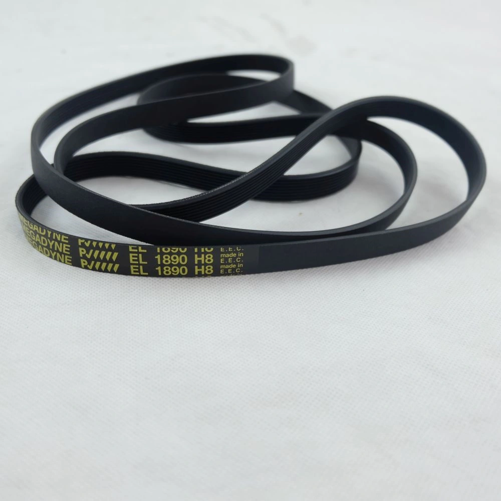 1890 H8 EL Bordásszíj, fekete (eredeti) CANDY szárítógép / RENDELÉSRE