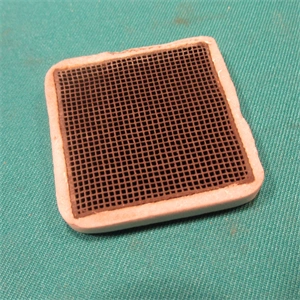 Aktív szénszűrő ( eredeti ) SAMSUNG hűtőgép / RENDELÉSRE