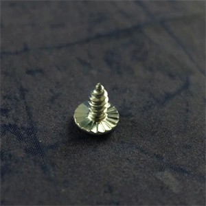 Csavar (eredeti) AMICA tűzhely / RENDELÉSRE