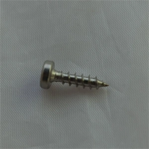 Csavar (eredeti) WHIRLPOOL / INDESIT szárítógép / RENDELÉSRE