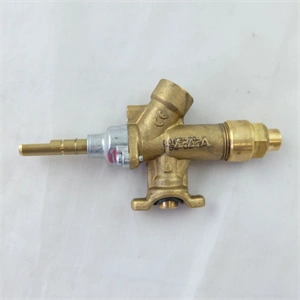 Gázcsap, sütőtér (eredeti) HAUSMEISTER tűzhely / RENDELÉSRE