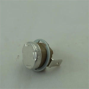 Hőkorlátozó 95 °C(eredeti) SAECO kávéfőző gép / RENDELÉSRE