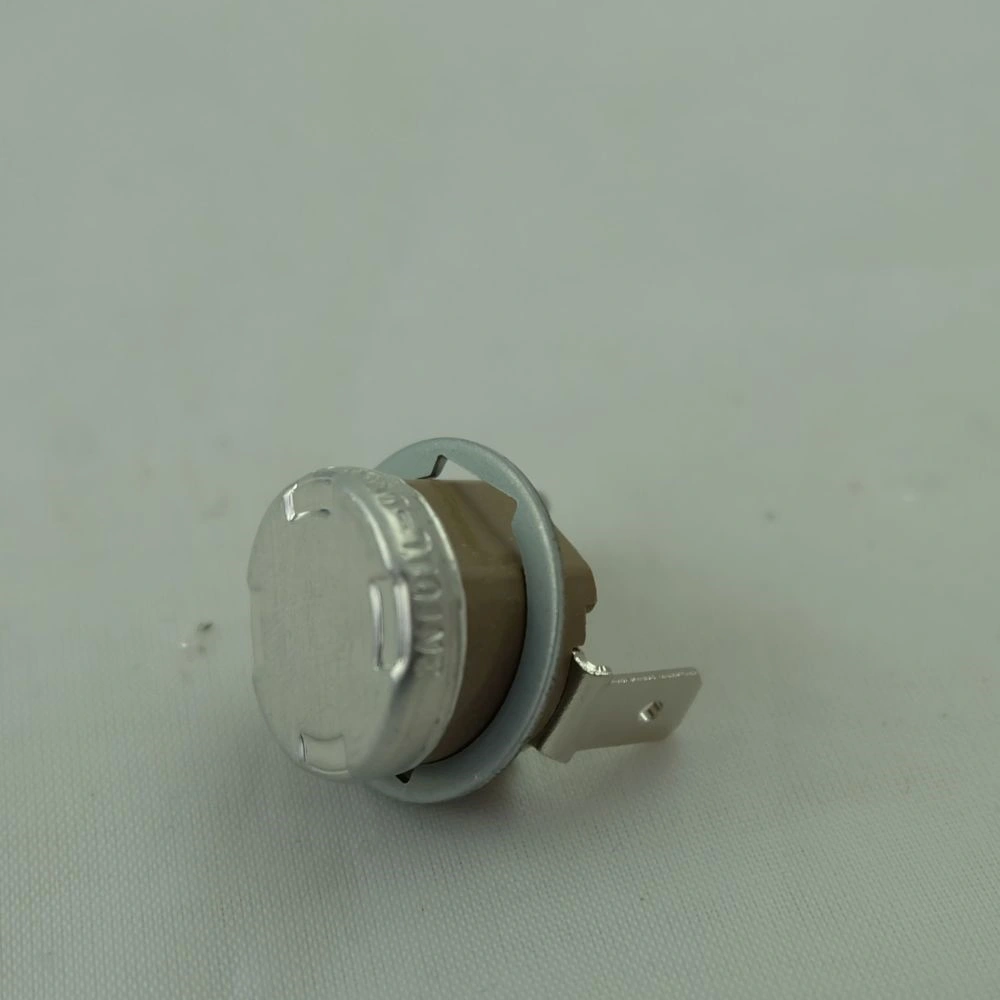 Hőkorlátozó 95 °C(eredeti) SAECO kávéfőző gép / RENDELÉSRE