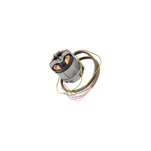 Páraelszívó motor (eredeti) Electrolux