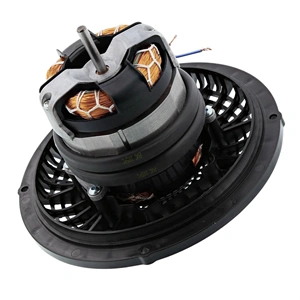 Páraelszívó motor (eredeti) Electrolux