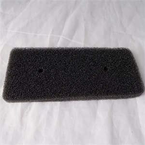 Szűrő, szivacs (eredet) SAMSUNG szárítógép / RENDELÉSRE