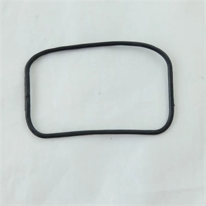 Tömítés világítás (eredeti) BOSCH szárítógép / RENDELÉSRE