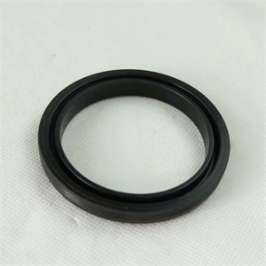 Tömítés víztartály (eredeti) BOSCH szárítógép / RENDELÉSRE