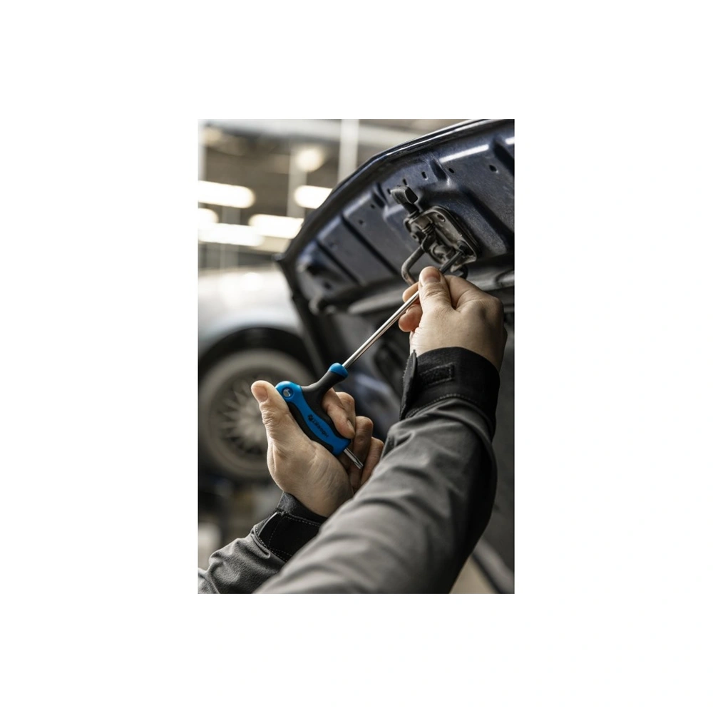 Torx furatos kulcs, TT10 , nyeles, hosszított, HÖGERT HT1W869