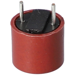 0,16 A Biztosíték (eredeti) WHIRLPOOL mikrohullámú sütő / RENDELPÉSRE