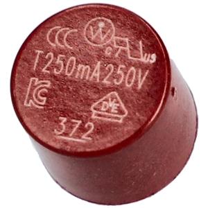 0,25A Biztosíték (eredeti) WHIRLPOOL mikrohullámú sütő / RENDELÉSRE