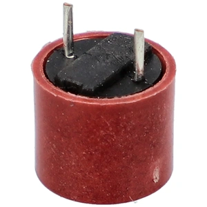 0,25A Biztosíték (eredeti) WHIRLPOOL mikrohullámú sütő / RENDELÉSRE