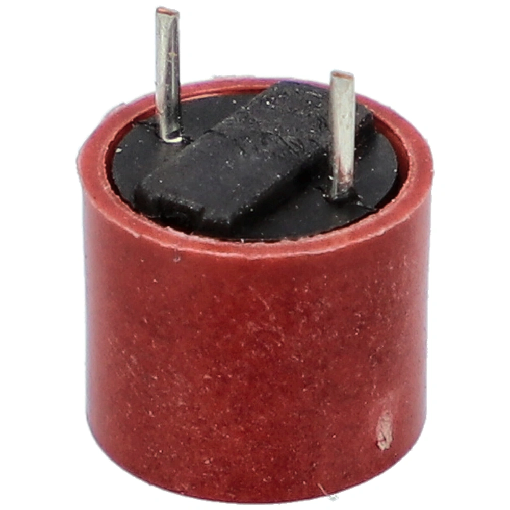 0,25A Biztosíték (eredeti) WHIRLPOOL mikrohullámú sütő / RENDELÉSRE