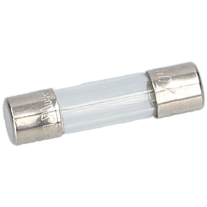10A  250V  5x20  üvegbiztosíték lassú 