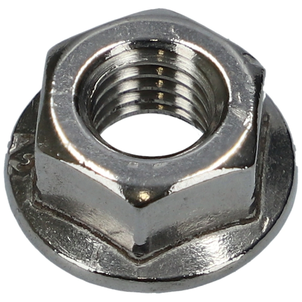 Anyacsavar (klixon rögzítő, eredeti) INDESIT mosogatógép /RENDELÉSRE