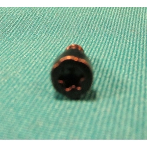 Csavar fűtőszál rögzítő (eredeti) WHIRLPOOL mikrohullámú sütő / RENDELÉSRE