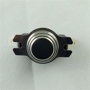 Hőkorlátozó (eredeti) GORENJE/MORA bojler / RENDELÉSRE