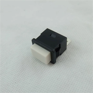 Kapcsoló ki-be (eredeti) ROWENTA porszívó / RENDELÉSRE