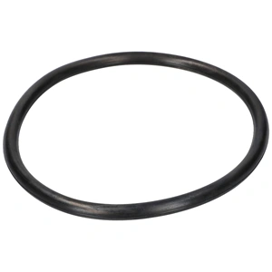 Tömítés (eredeti, szűrőház ) ZANUSSI mosogatógéphez