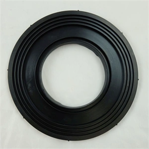 Tömítés motor (eredeti) DELONGHI takarítógép / RENDELÉSRE